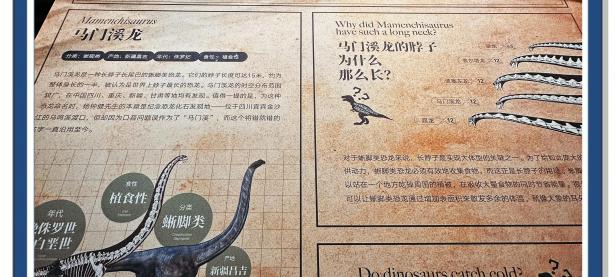 开云体育亚洲官网-包含科学家发现新的恐龙化石，或填补演化地图空白的词条