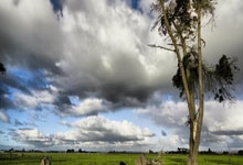 法国战胜芬兰，取得惊人连胜纪录