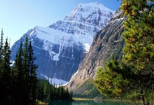 拳击选手一锤定音晋级半决赛