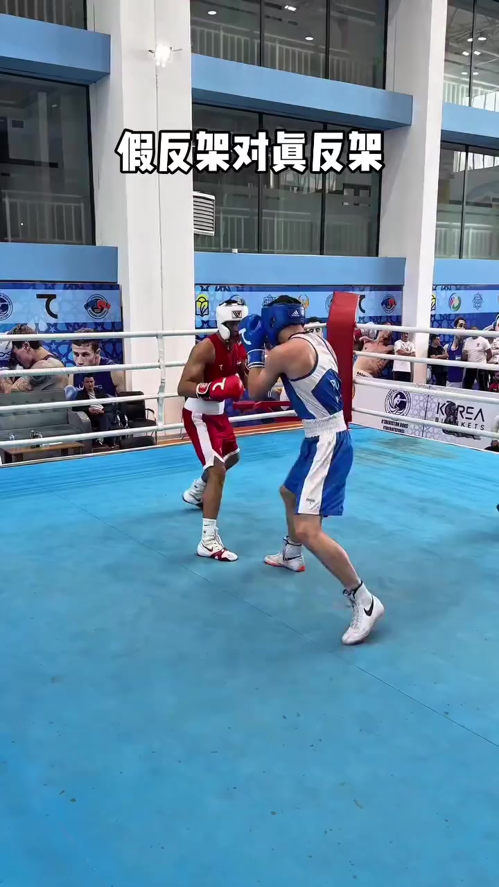 拳击比赛激烈进行，观众欢呼雀跃